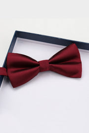 Charming Burgundy Satin Bow Tie